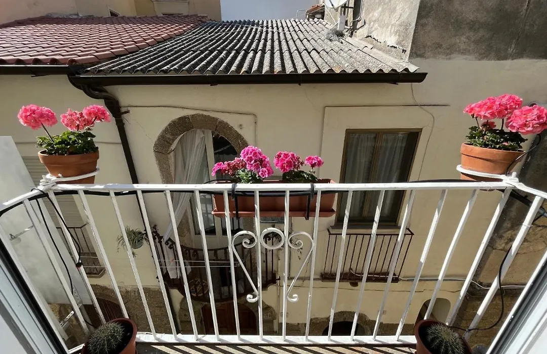 Pizzo Central House-1